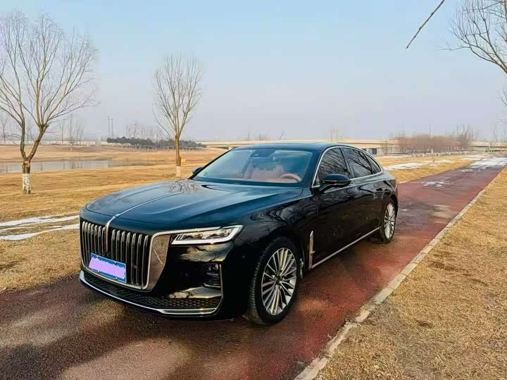 Фото 1 - Hongqi H9
