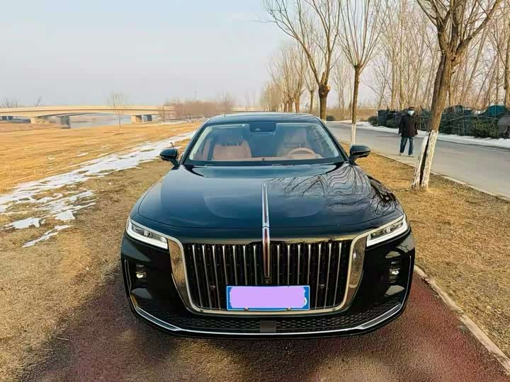 Фото 2 - Hongqi H9