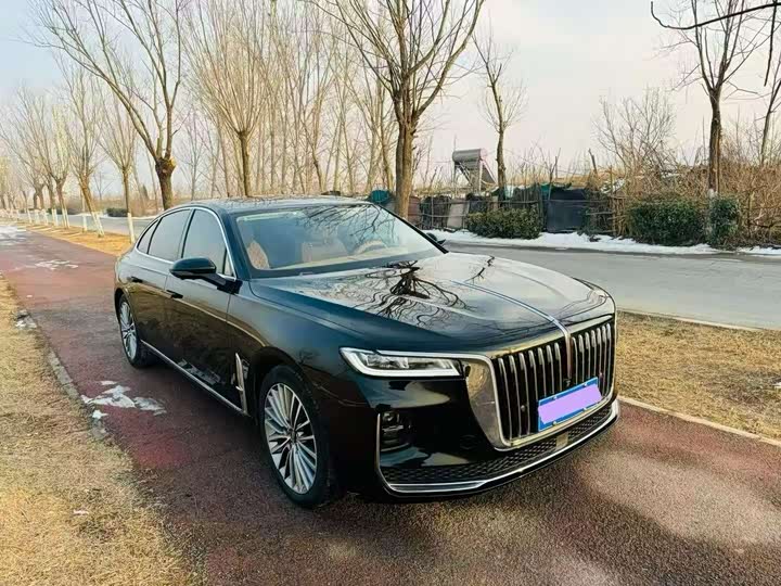 Фото 3 - Hongqi H9
