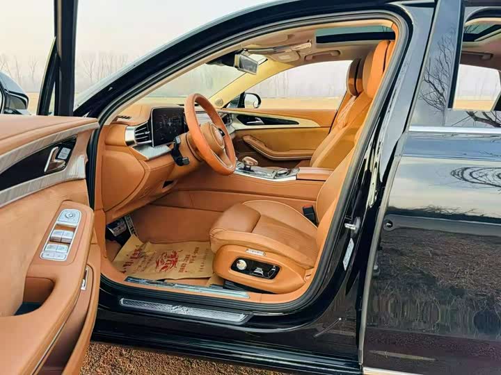 Фото 4 - Hongqi H9