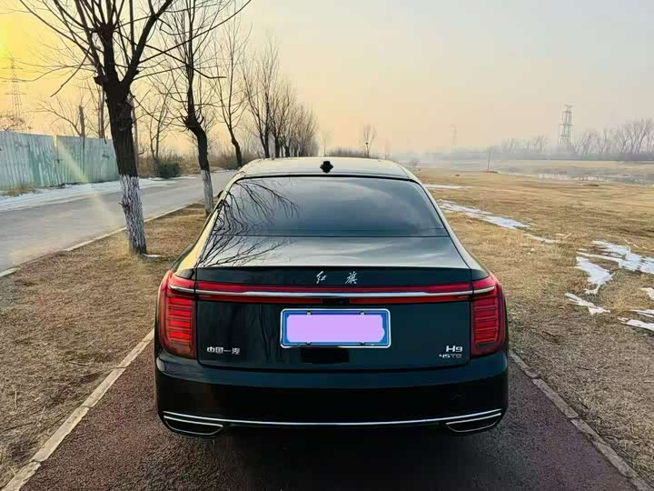 Фото 8 - Hongqi H9
