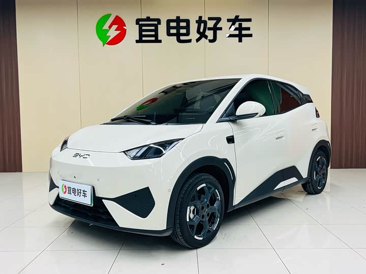 Фото 1 - BYD Seagull