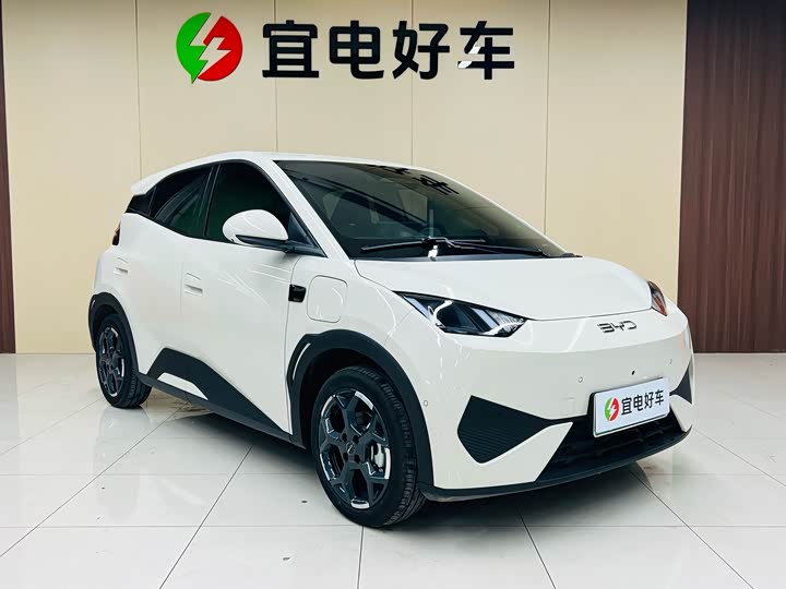 Фото 3 - BYD Seagull