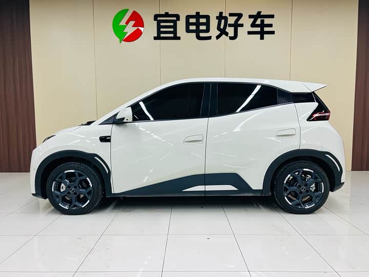 Фото 4 - BYD Seagull