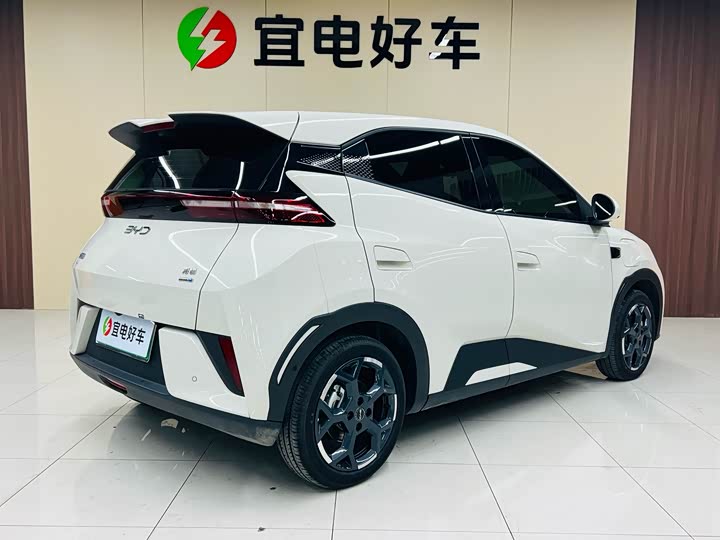 Фото 5 - BYD Seagull