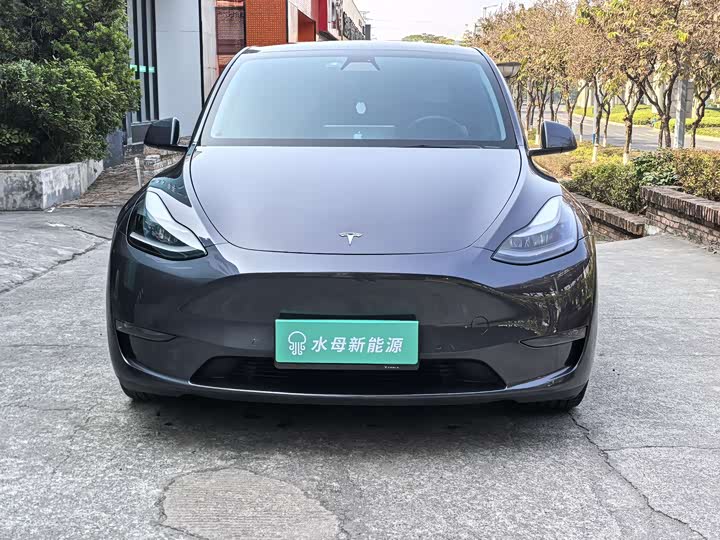 Фото 2 - Tesla Model Y