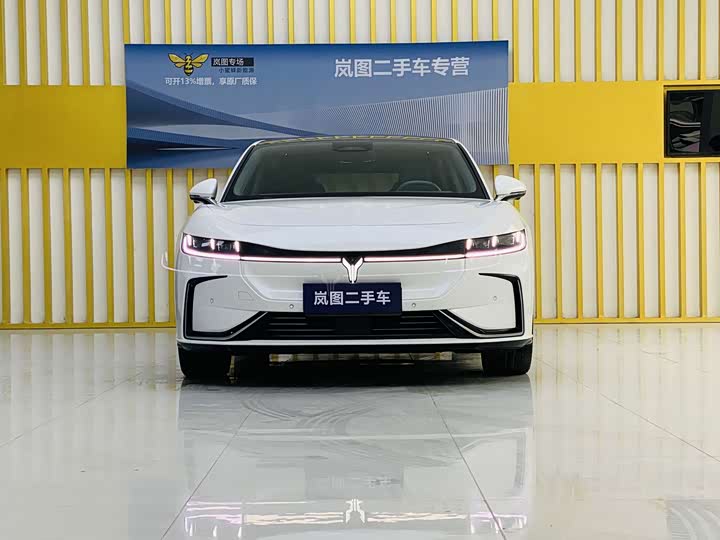 Фото 3 - Voyah Passion