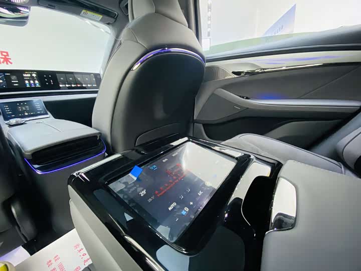 Фото 4 - Voyah Passion