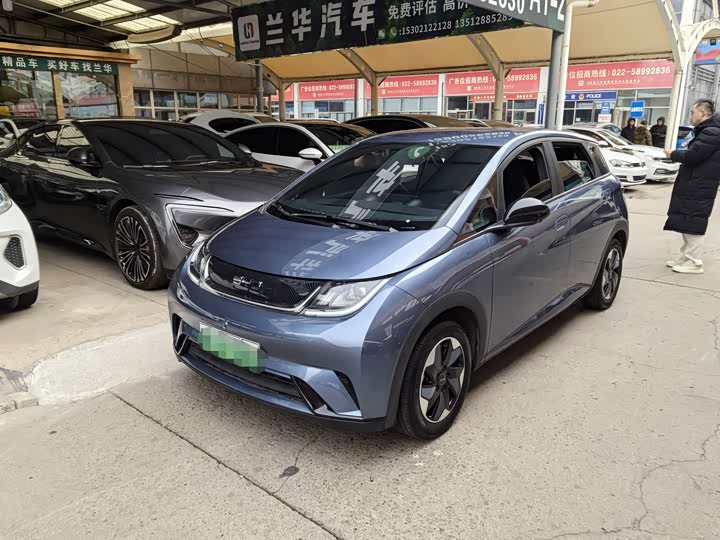 Фото 1 - BYD Dolphin