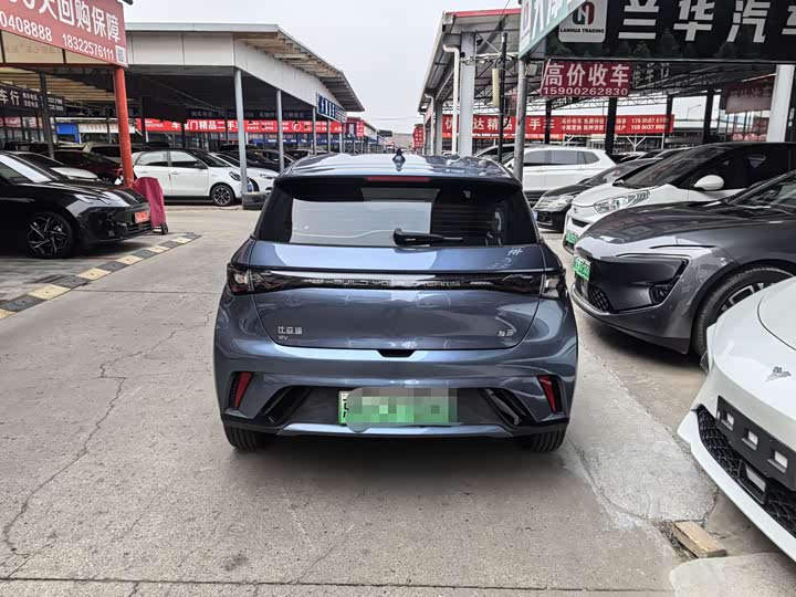 Фото 4 - BYD Dolphin