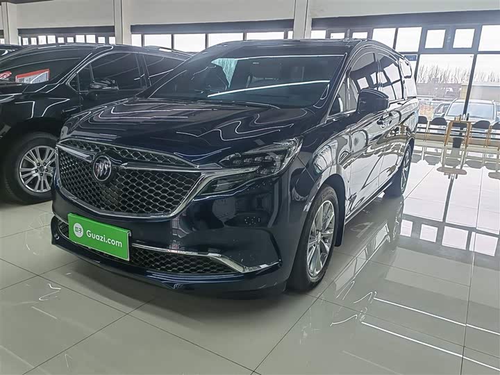 Фото 1 - Buick GL8 ES