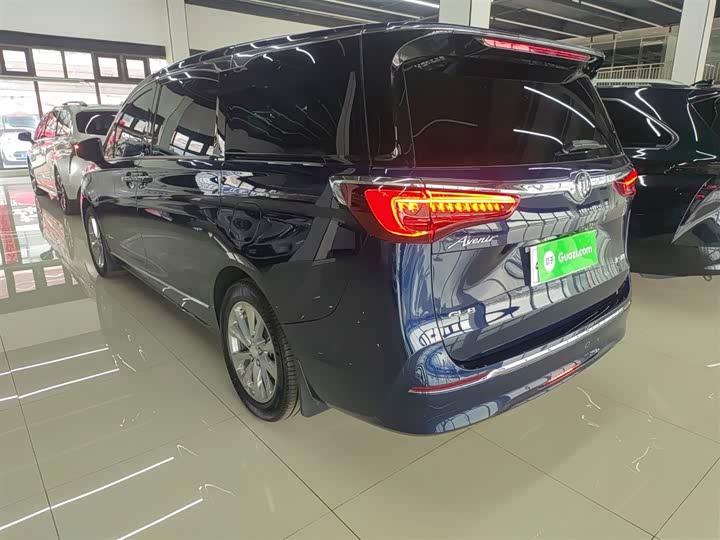 Фото 5 - Buick GL8 ES