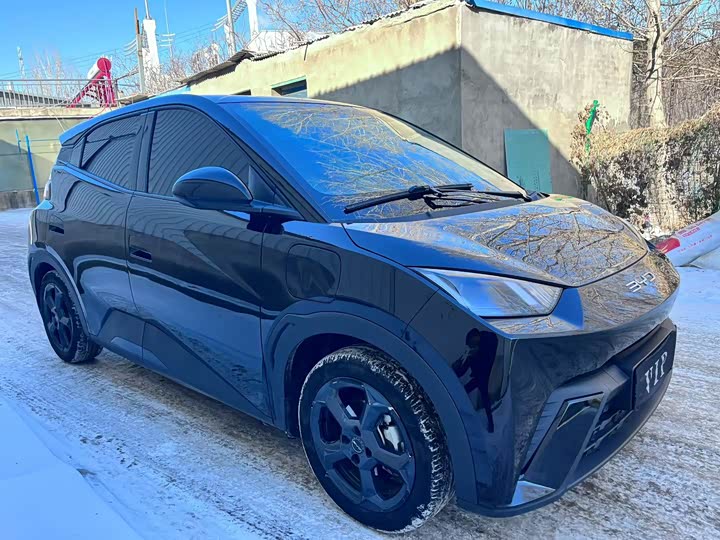 Фото 1 - BYD Seagull