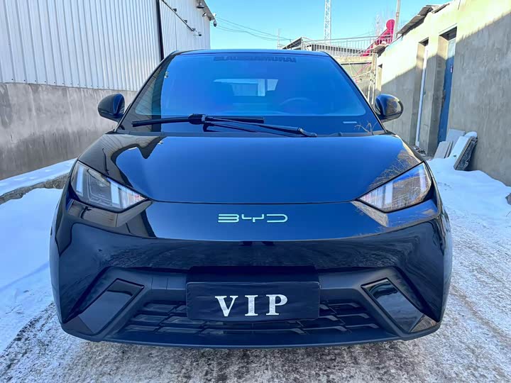 Фото 2 - BYD Seagull