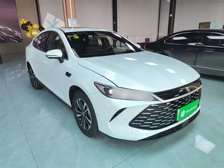 Фото 4 - BYD Qin Plus