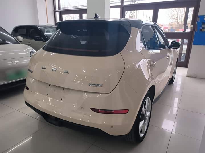 Фото 7 - Ora Good Cat (03)