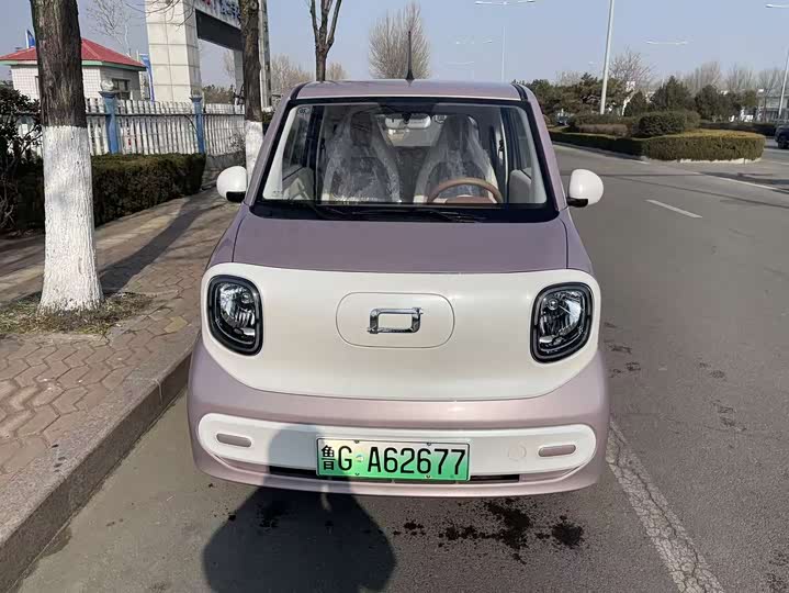 Фото 2 - Bestune Pony