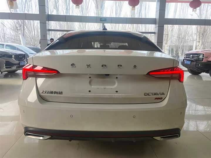 Фото 5 - Skoda Octavia Pro