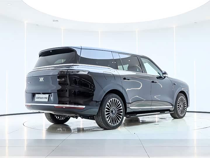 Фото 2 - IM motors LS9