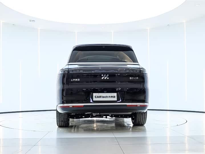 Фото 3 - IM motors LS9