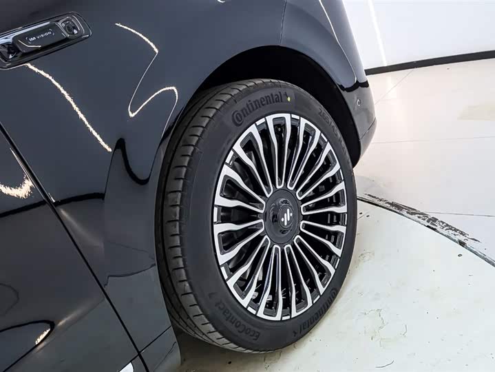 Фото 7 - IM motors LS9