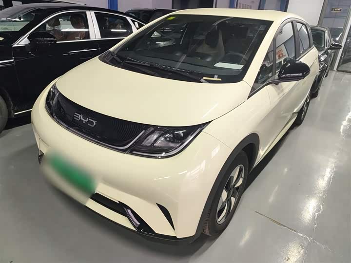 Фото 1 - BYD Dolphin