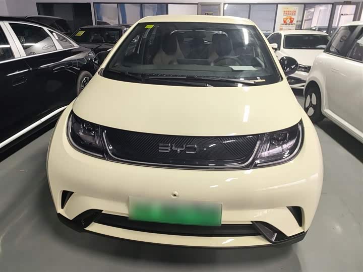 Фото 3 - BYD Dolphin