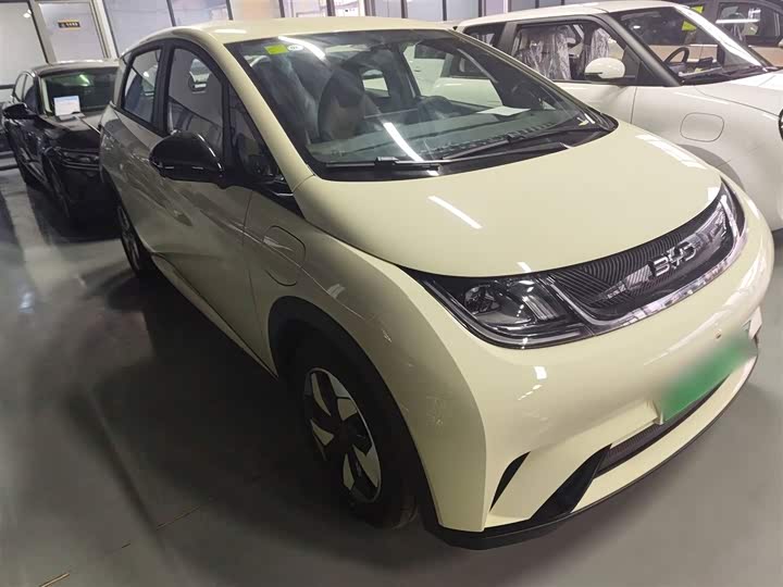 Фото 4 - BYD Dolphin