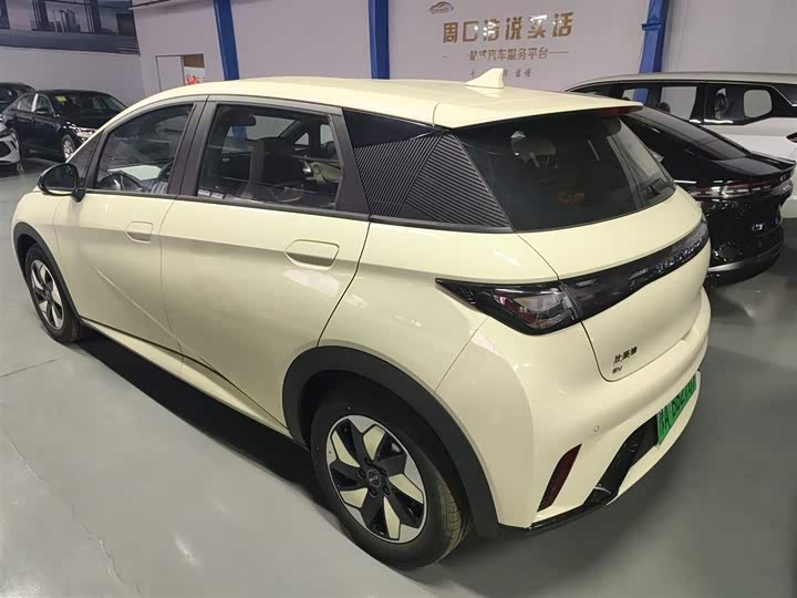 Фото 5 - BYD Dolphin