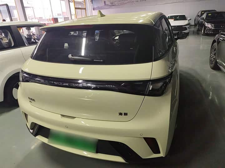 Фото 6 - BYD Dolphin