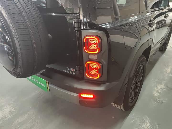 Фото 8 - Haval Raptor Hybrid