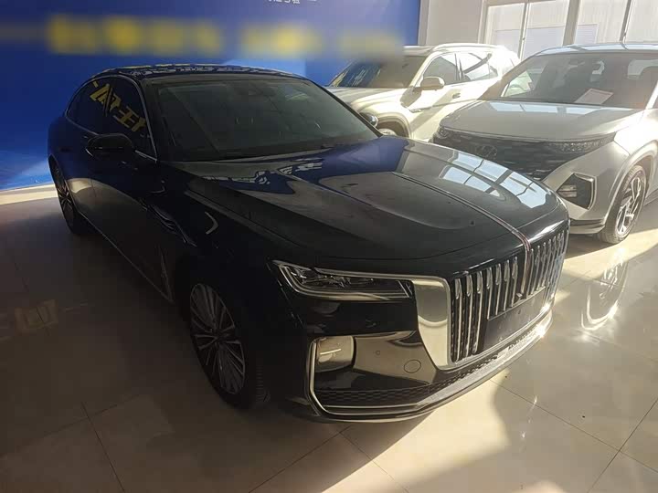 Фото 4 - Hongqi H9