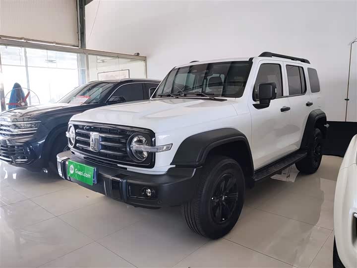 Фото 1 - Tank 300