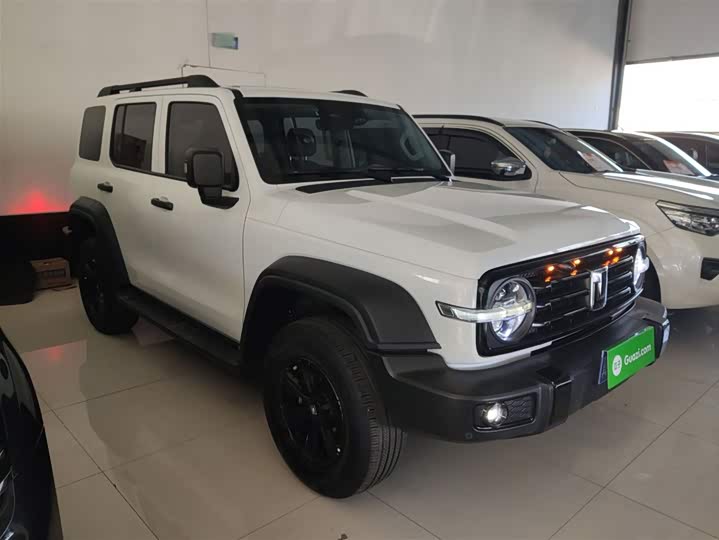 Фото 4 - Tank 300