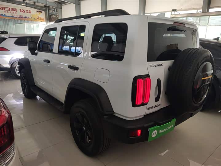 Фото 5 - Tank 300