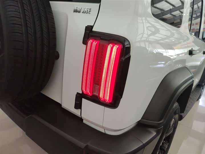 Фото 8 - Tank 300