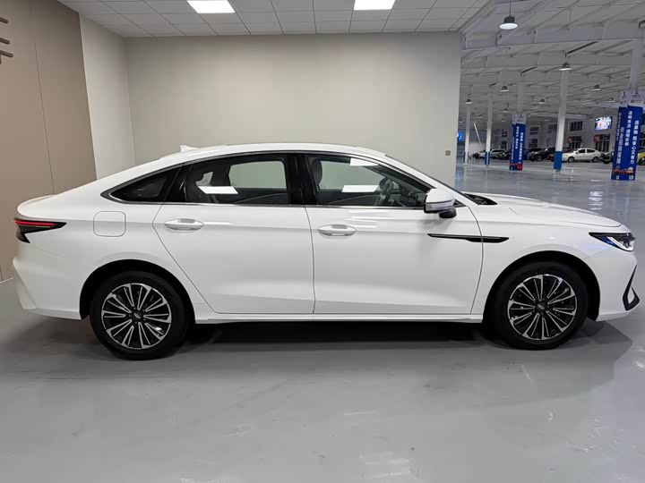 Фото 8 - Chery Fulwin A8