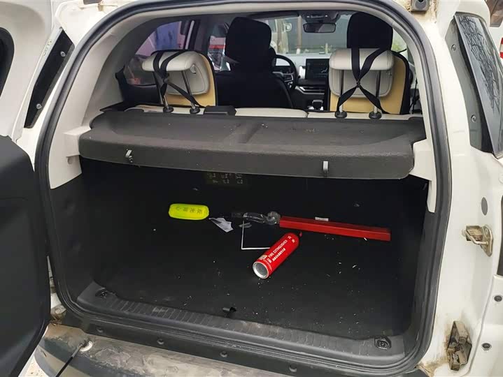 Фото 4 - BYD Yuan Pro