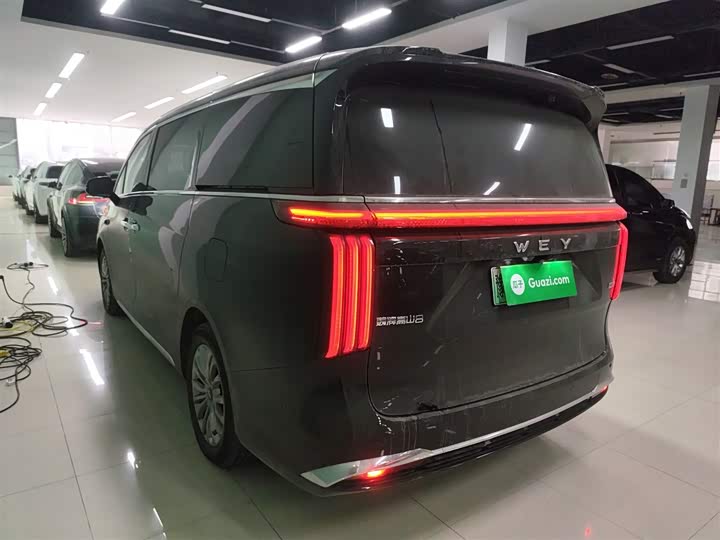 Фото 5 - Wey Gaoshan