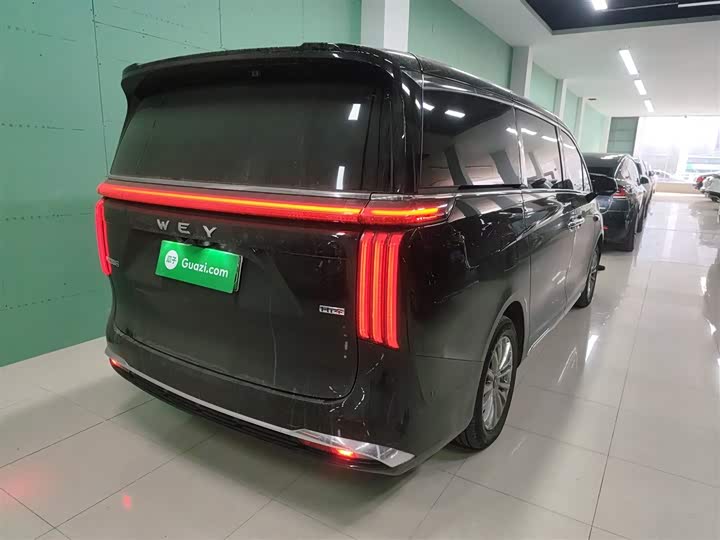 Фото 7 - Wey Gaoshan