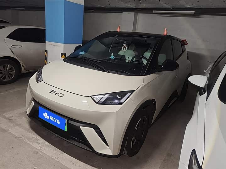 Фото 1 - BYD Seagull