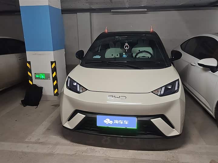 Фото 2 - BYD Seagull