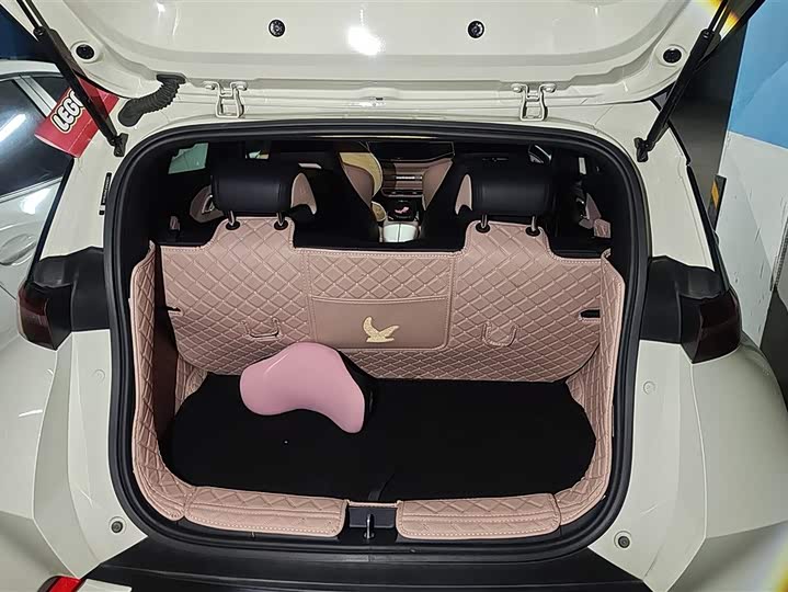 Фото 4 - BYD Seagull