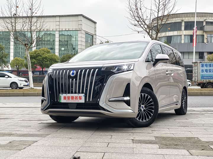 Фото 1 - Denza D9