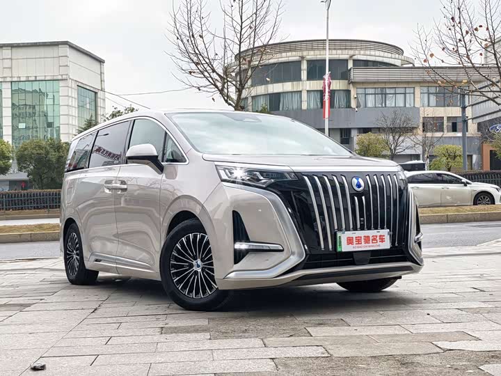 Фото 3 - Denza D9