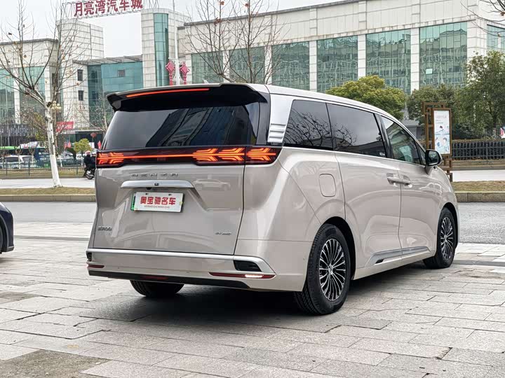 Фото 4 - Denza D9