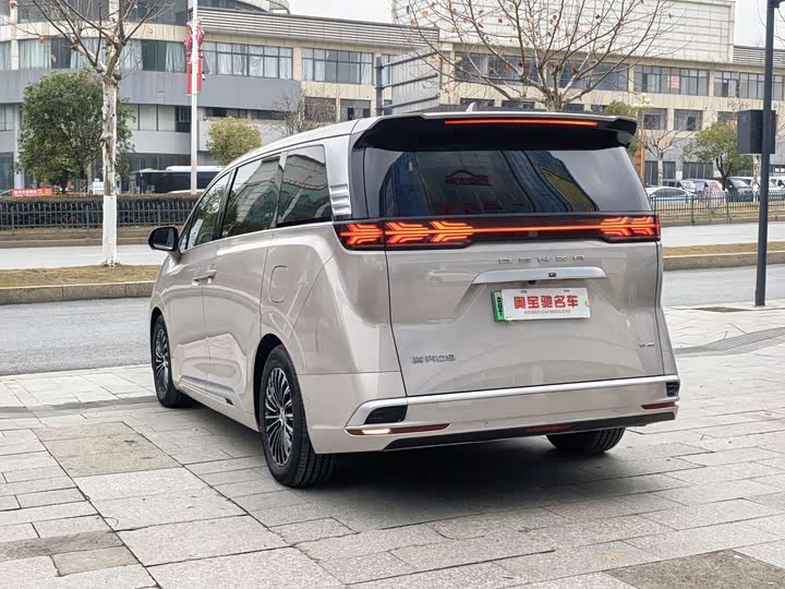 Фото 6 - Denza D9