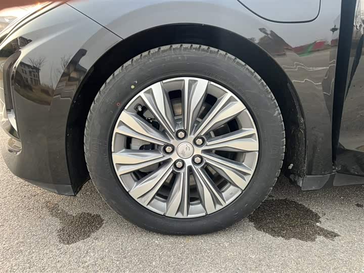 Фото 6 - Hongqi E-QM5