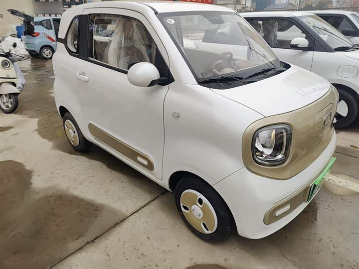 Фото 4 - Bestune Pony