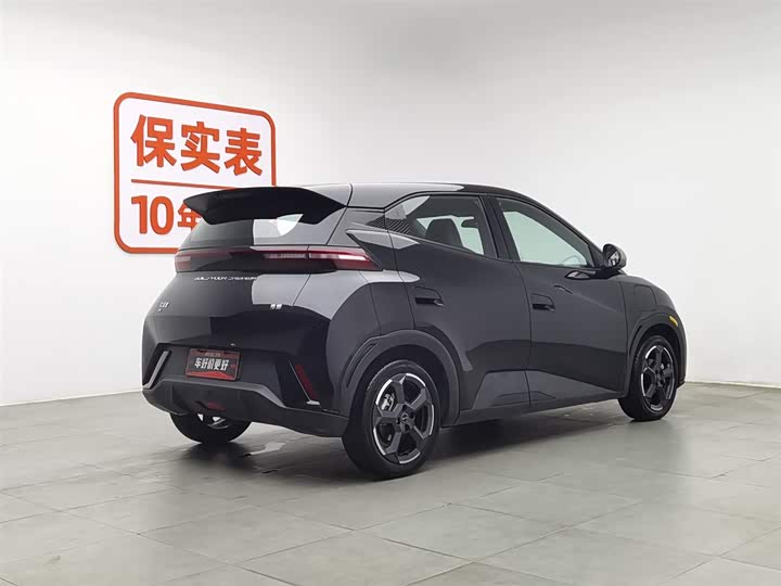 Фото 2 - BYD Seagull